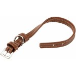 Ferplast vogue cf collier en cuir pour chiens. variante 15 / 29 - misure: a: 21 - 29 cm b: 15 mm - marron ...
