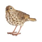 Oiseau dcoratif extrieur en polyrsine grive musicienne