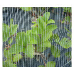 Filet anti - grêle 12x12m - 56g - avec connecteurs pont Filet anti - grêle 12x12m - 56g - avec connecteurs pont
