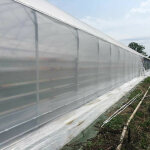 Filet brise - vent - ombrage blanc - 106gr / m� - long 10 m, larg 6 m