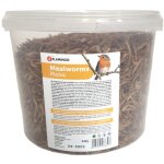Vers de farine schs picknick seau de 540 g pour oiseaux flamingo