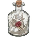 Fleurs sches dans bouteille en verre d 8 x h 11 cm - atmosphera