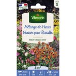 Fleurs vivaces pour rocaille - 4 m� - m�lange de fleurs vilmorin