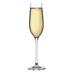 Flte  champagne en cristal olympia campana 260 ml - lot de 6