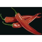 Fond de hotte verre, cr�dence murs 'hot peperoni' wenko hygi�nique et r�sistant aux chocs, prot�ge vos ...