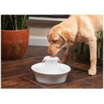 Fontaine drinkwell c�ramique avalon cynnotek cy3568