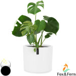 Fox & fern pot de fleur interieur et ext�rieur, jardinieres exterieur, pot plante r�sistant uv et gel ...