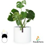 Fox & fern pot de fleur interieur et extérieur, jardinieres exterieur, pot plante résistant uv et gel ... Fox & fern pot de fleur interieur et extérieur, jardinieres exterieur, pot plante résistant uv et gel ...