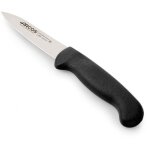 Fp - couteau mondador arcos couleur - prof 290025 acier inoxydable nitrum et mango lame ergonomique en ... Fp - couteau mondador arcos couleur - prof 290025 acier inoxydable nitrum et mango lame ergonomique en ...