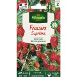 Fraisier 4 saisons suprême vilmorin Fraisier 4 saisons suprême vilmorin