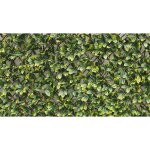 Fraschetti - panelgreen brixo trellis 100x200 cm haie synthétique artificielle. Fraschetti - panelgreen brixo trellis 100x200 cm haie synthétique artificielle.