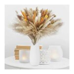 Freosen - 100pcs pampa sche naturelle dcoration fleur sch bouquet sch d'herbe de pampa boho arrangement ...