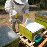 Fumeur d'abeille de ruche, pulv�risateur de fumeur d'abeille, �quipement apicole en acier galvanis�, ...