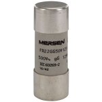 Fusible cartouche - 22 x 58 - gg - 16a - 690v - sans indicateur - boite de 10 mersen s201818