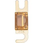 Fusible mini - anl hifi auto 40 a sinuslive manl - 40 1 pc(s)