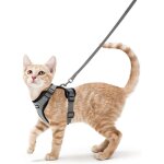Galozzoit - harnais chat petit chien laisse harnais chaton r�glable gris xs collier harnai chat refl�chissant ...