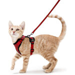 Galozzoit - harnais chat petit chien laisse harnais chaton r�glable rouge collier harnai chat refl�chissant ...