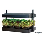 Garland - mini jardin avec lampe led - noir - 32w