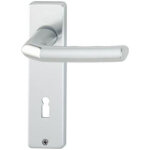 Garniture de plaque courtes