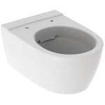 Cuvette wc suspendu geberit icon, carne, rimfree, 53cm, blanc