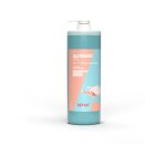 Gel aexalt alcobaex hydroalcoolique hypoallergénique - bidon 1 litre avec pompe - gh657 Gel aexalt alcobaex hydroalcoolique hypoallergénique - bidon 1 litre avec pompe - gh657