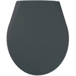 Gelco design - abattant pour wc marina carbone