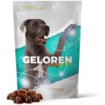 Geloren articulations grand chien - vitamines chien - 420g