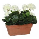 Géraniums en pvc blanc dans une jardinière pour balcon 29x13x40cm. Géraniums en pvc blanc dans une jardinière pour balcon 29x13x40cm.