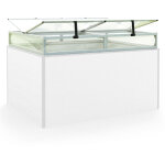 Gfp - ch�ssis de jardin en aluminium / plaques double paroi serre pour plantes pour jardin, balcon, fen�tre ...