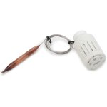 Giacomini - tte thermostatique avec capteur  distance bulbe liquide r462lx r462lx001