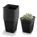 Godet pour semis noir 50pcs - carr� pots de plantes en plastique - petit pot de fleur interieur exterieur ...