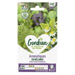 Gondian - aromatiques en mlange