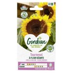 Gondian - tournesol a fleur gante