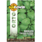 Graines de basilic italien classique tournesol