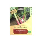 Graines bio - rhubarbe victoria 20gn - la semence bio