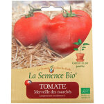 Graines bio - tomate merveille des marches - semence biologique