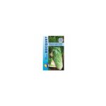 Chicore  large feuille amliore pain de sucre - 4g