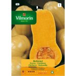 Graines de citrouille vilmorin boutires s - 1 780, sur 7 gr