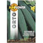 Graines de concombre marketmore tournesol