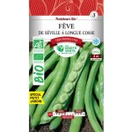 Graines fves de sville longues cosses bio les doigts verts 100g