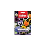 Graines de pens�e g�ante blumen