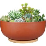 Grand pot de fleurs rond en terre cuite de 25 cm avec trou de drainage et soucoupe en bambou pour plantes ...