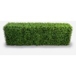 Haie artificielle en buis pour cl�ture de jardin 158x33x56cm robuk
