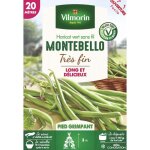 Haricot grimpant vert montebello ? gousses 20 cm ? semis printemps ? pour potager 20 m�tres lin�aires ...