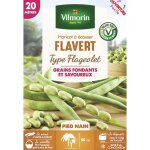 Haricot nain  ecosser flavert (type flageolet) - 20 m vilmorin