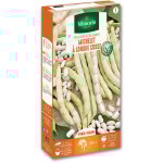 Haricot nain � ecosser michelet � longue cosse vilmorin