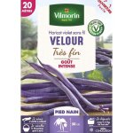 Haricot nain violet velour - 20 m vilmorin