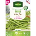 Haricot pongo ? graines de potager pr�coces ? r�colte facile avec gousses au - dessus du feuillage ? ...