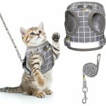 Harnais pour chat anti - vasion harnais rglable pour chiot harnais avec laisse pour chaton harnais ...