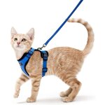 Harnais pour chat laisse pour petit chien harnais pour chaton rglable bleu s - cou ??harnais pour chat ...